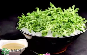 冰菜什么人不適宜吃？冰菜什么體質不能吃？