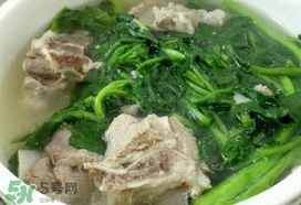 西洋菜是什么菜？西洋菜是什么樣的