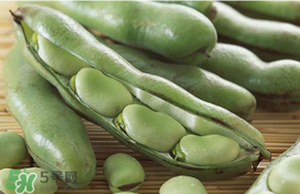 蠶豆要剝皮嗎？新鮮蠶豆怎么快速剝皮？