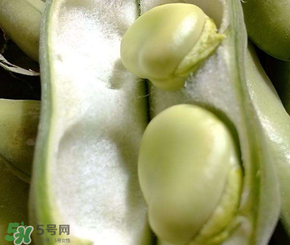 蠶豆多少錢一斤？蠶豆多少錢一斤2017？