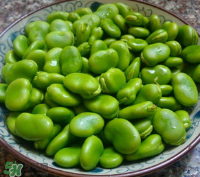 蠶豆多少錢一斤？蠶豆多少錢一斤2017？