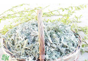 白蒿要焯水嗎？白蒿要不要焯水？