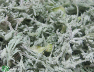 白蒿不能和什么一起吃？白蒿不能與什么同食？