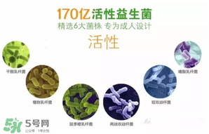 益生菌哪個牌子好？哪個牌子的益生菌好？