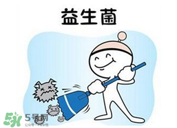 益生菌哪個牌子好？哪個牌子的益生菌好？