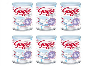 Guigoz奶粉中文叫什么？Guigoz奶粉中文怎么翻譯？