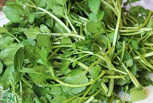 西洋菜是什么菜？西洋菜是什么樣的