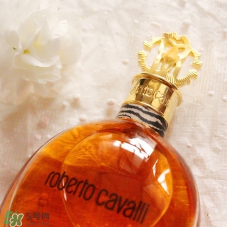 roberto cavalli是什么牌子？羅伯托卡沃利是幾線什么檔次？