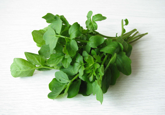 西洋菜是什么菜？西洋菜是什么樣的