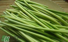 蒜苔怎么保鮮？蒜苔如何保鮮