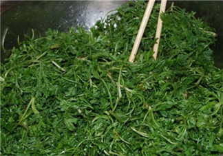 白蒿孕婦能吃嗎？孕婦可以吃白蒿嗎？