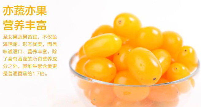 圣女果能減肥嗎？圣女果可以減肥嗎