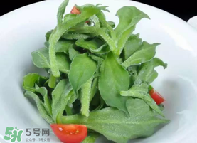 冰草不能和什么一起吃？冰草不能和什么同時(shí)吃？