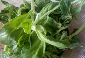 冰草為什么咸？冰草怎吃不咸？