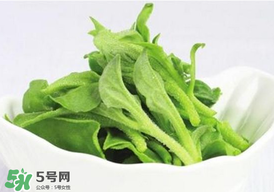 冰草多少錢一斤？非洲冰草多少錢一斤？