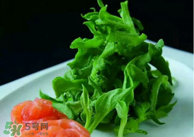 冰草怎么清洗？非洲冰草怎么清洗？