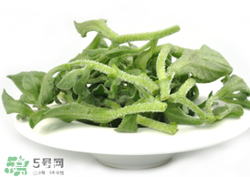 ?冰草為什么會(huì)酸？冰草為什么是酸的？