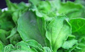 孕婦可以吃冰草嗎？冰草對孕婦有什么好處？