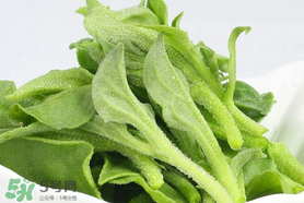 孕婦可以吃冰草嗎？冰草對孕婦有什么好處？