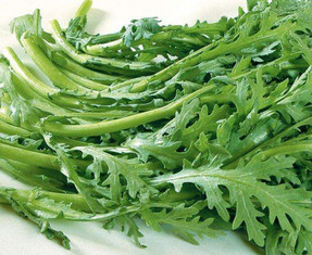 蘆蒿要焯水嗎？蘆蒿要不要焯水