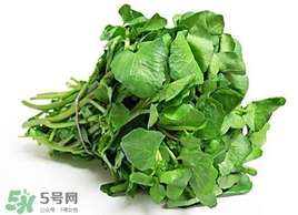 哺乳期能吃西洋菜嗎？哺乳期可以吃西洋菜嗎