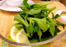 冰草用什么醬？冰草用什么醬好吃？