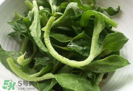 冰菜為什么會酸？冰菜為什么是咸的？