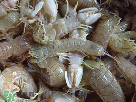 蝦爬子死了能吃嗎？蝦爬子死能放多久？