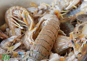 蝦爬子死了能吃嗎？蝦爬子死能放多久？