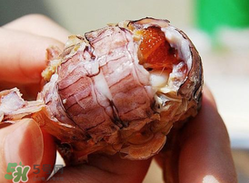 蝦爬子什么季節(jié)最肥？蝦爬子幾月份最肥？