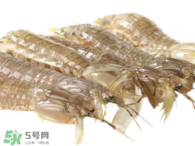 蝦爬子什么季節(jié)最肥？蝦爬子幾月份最肥？