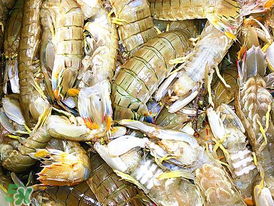 蝦爬子什么季節(jié)最肥？蝦爬子幾月份最肥？