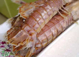 蝦爬子能冷凍嗎？蝦爬子可以冷藏嗎？