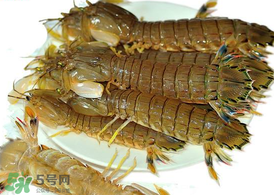 蝦爬子能冷凍嗎？蝦爬子可以冷藏嗎？