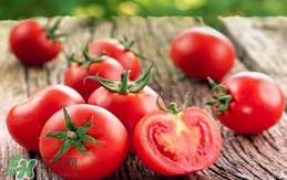 西紅柿是生吃好還是熟吃好？西紅柿吃生的好還是熟的好