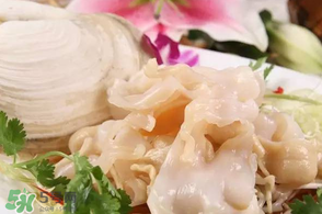 2017象拔蚌多少錢一斤？象拔蚌多少錢一斤2017？