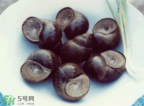 田螺不能和什么一起吃？田螺和什么不能一起吃？