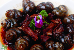 田螺不能和什么一起吃？田螺和什么不能一起吃？