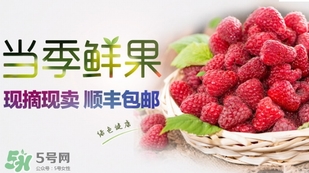 刺泡是覆盆子嗎？刺泡和覆盆子的區(qū)別