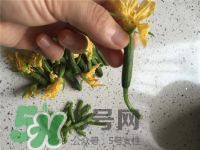 黃瓜花能吃嗎？黃瓜花怎么吃