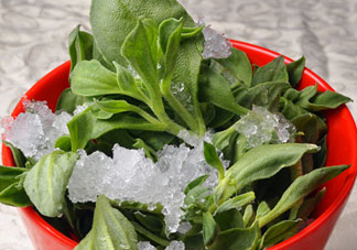 孕婦可以吃冰草嗎？冰草對孕婦有什么好處？