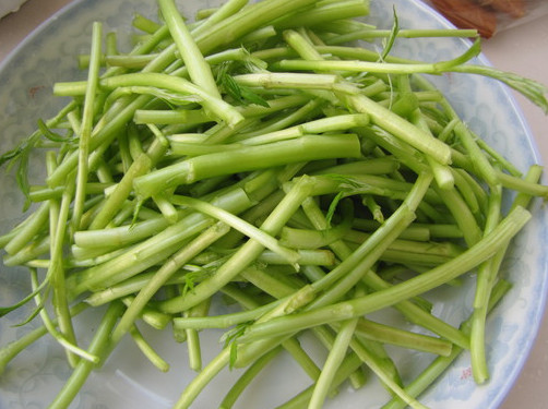 蘆蒿是發(fā)物嗎？蘆蒿是不是發(fā)物