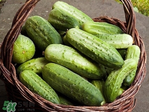 黃瓜根能吃嗎？黃瓜根可以吃嗎？