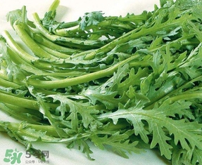 蘆蒿與茼蒿有什么區(qū)別？蘆蒿和茼蒿的區(qū)別