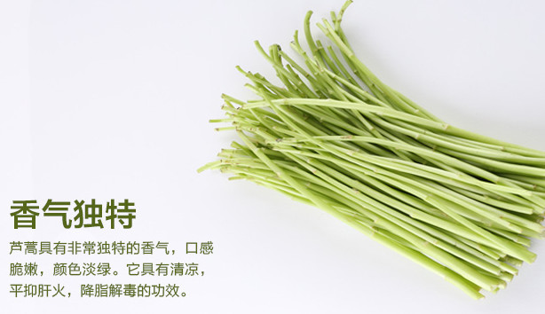 蘆蒿是發(fā)物嗎？蘆蒿是不是發(fā)物