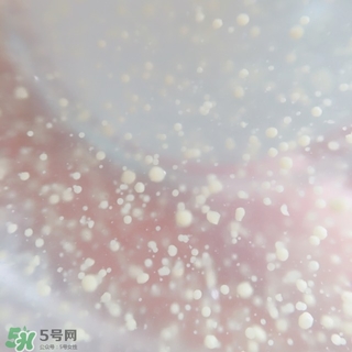 資生堂悅薇和怡麗絲爾哪個好？資生堂悅薇和怡麗絲爾對比