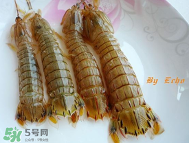 蝦爬子能放多久？蝦爬子怎么保存時(shí)間長(zhǎng)？