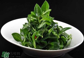 冰草是田七嗎？冰草和田七一樣嗎？