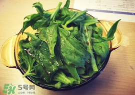 吃冰菜有什么好處？冰菜吃了有什么好處？