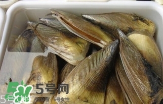 青口貝如何清洗？青口貝怎么處理